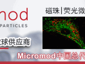 Micromod 纳米级磁性微球,荧光微球