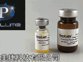 NanoLight 萤光素酶