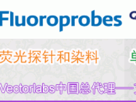 Click Chemistry Tools 种类多样性点击化学试剂