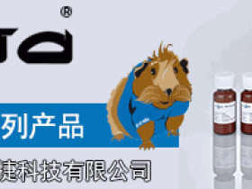 Zedira转谷氨酰胺酶专用试剂现货列表