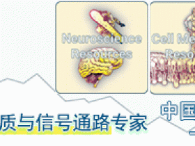 Echelon可电离脂质ALC-0315(EEB-N-1020)说明书