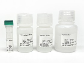 EpiQuik™ 总组蛋白提取试剂盒—326篇文献验证,1小时快速提取,修饰完整!