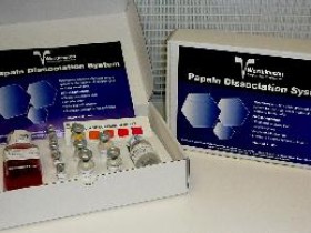 Worthington木瓜蛋白酶解离系统-神经科学