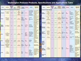 Worthington改良测序级胰蛋白酶