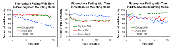 DyLight 594与Alexa 594及Texas Red等不同条件下的淬灭时间比较