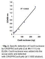 CRISPR/Cas9抗体应用于ELISA实验