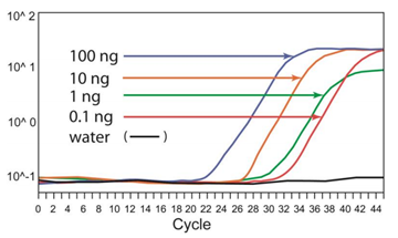  磁珠法DNA甲基化方案—高效特异的DNA亚硫酸盐转化与纯化