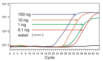 磁珠法DNA甲基化方案—高效特异的DNA亚硫酸盐转化与纯化