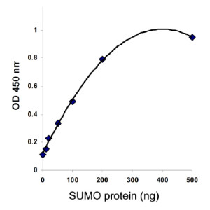 Sumo化蛋白定量试剂盒—小泛素化研究利器