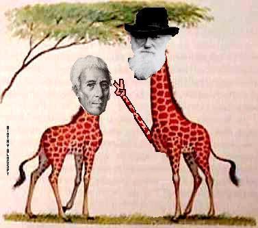 Lamarck-vs-Darwin