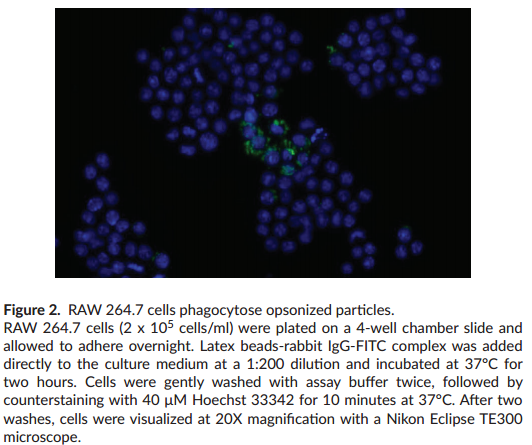 fluorescence-result