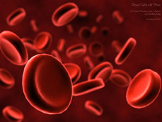 red-cells_t