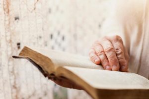 an-older-person-reading-a-book