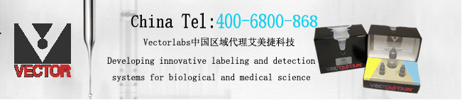 Vectorlabs-tel