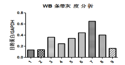 wb-Gray-analysis