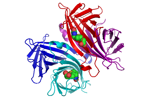 nano-tag-streptavidin