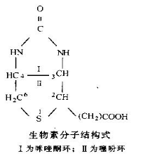 biotin-molecular-structure