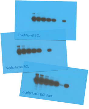 ecl-result