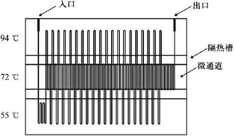 microfluidic-chip