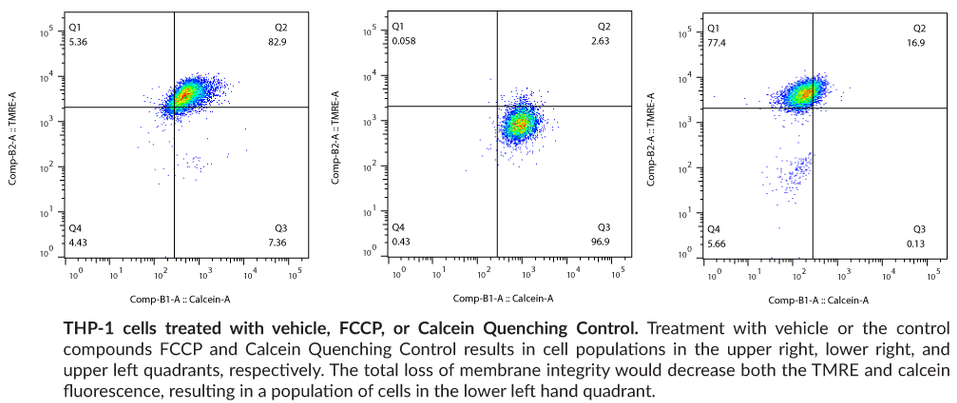 mptp-fccp