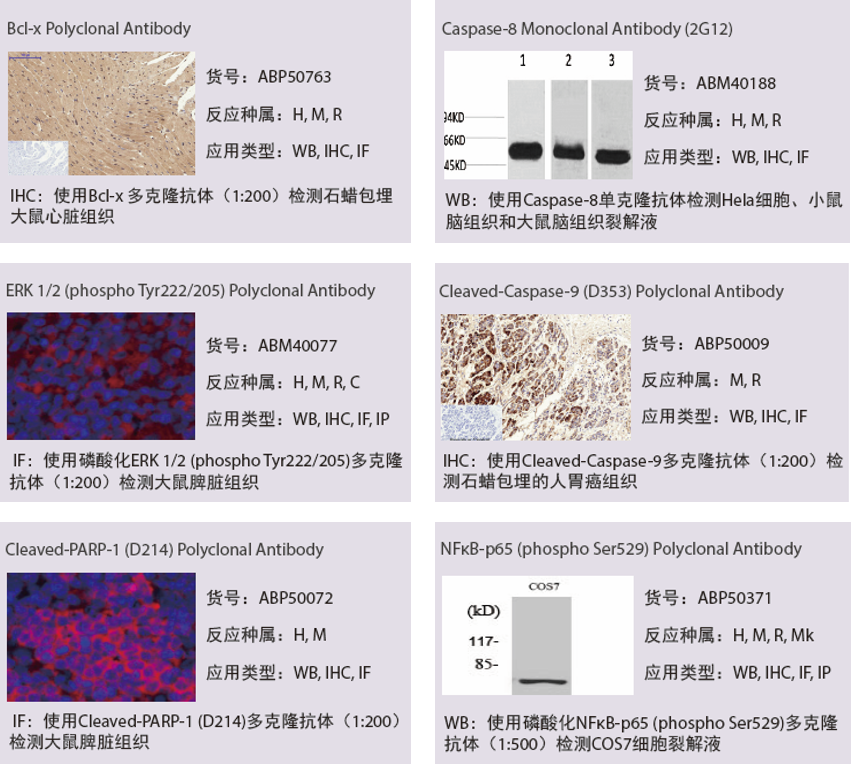 pyroptosis-results