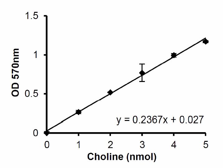 AChE-standard-curve