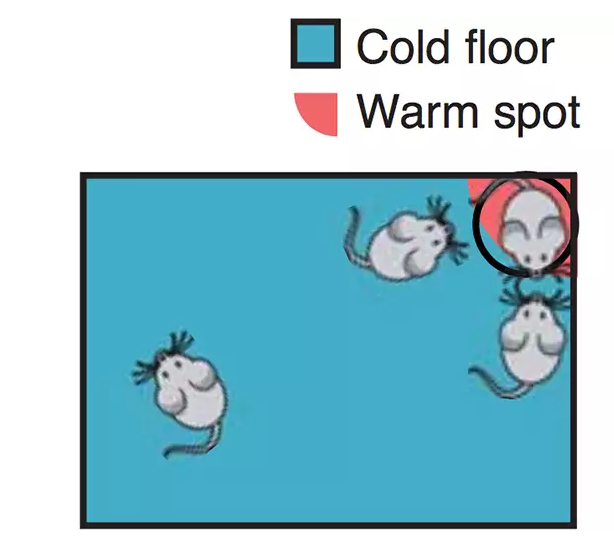 Heat-source-diagram