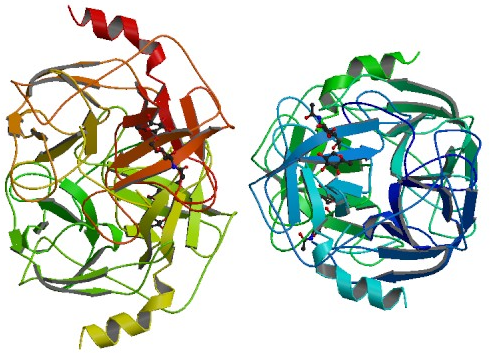 Proteinase3-elisa-kit