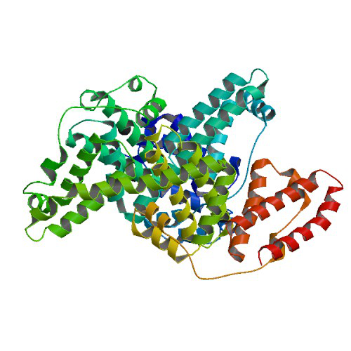 BSA-structure