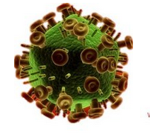 Lentivirus