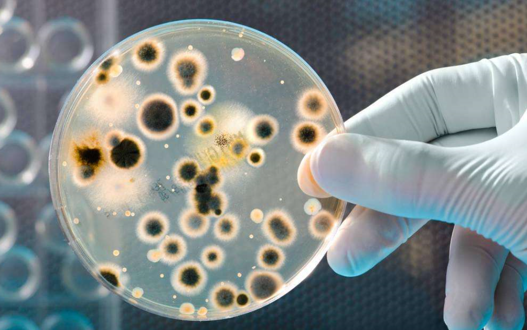 microbial-figure