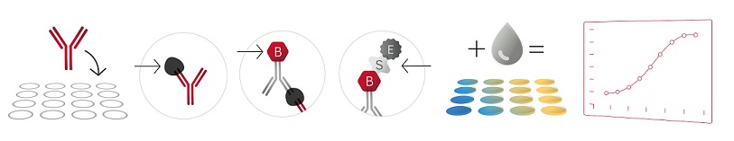 http://www.bio-review.com/wp-content/uploads/2017/09/Elisa-process-1.jpg