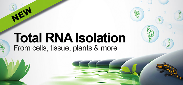 RNA-Isolation3