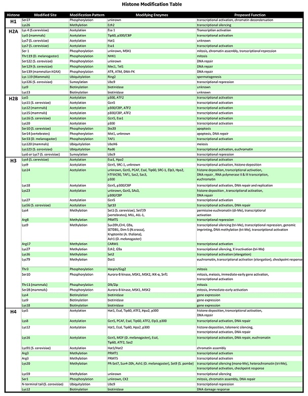 histone-modefication-table