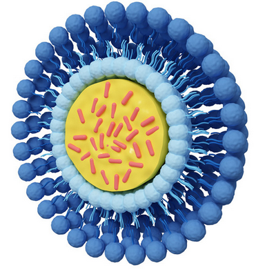 nagl-cell