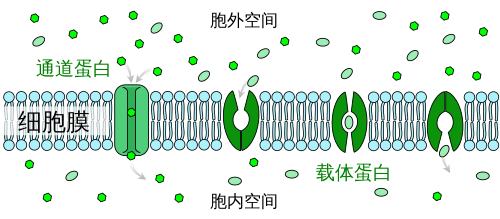 hapten-carrier-protein