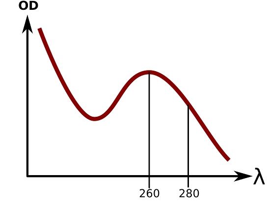 ribosome-sample