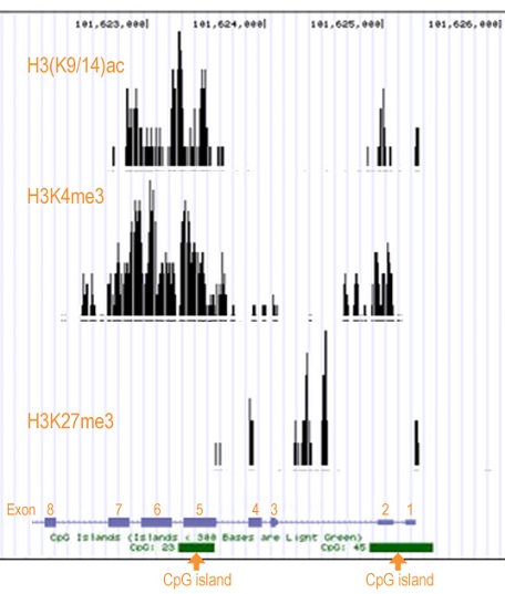 ChIP-Seq-result