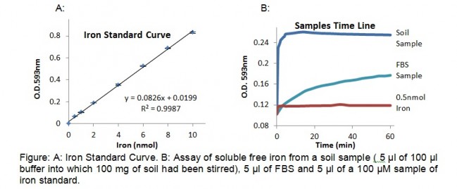 iron-standard-curve