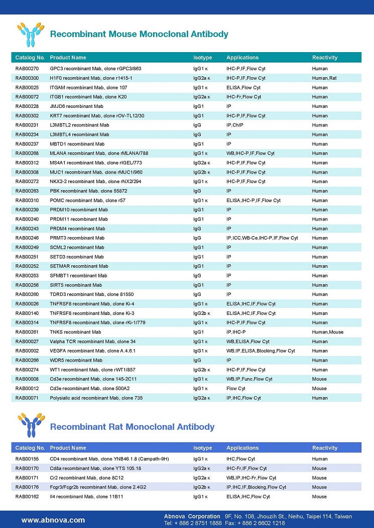 recombinant-antibody-2