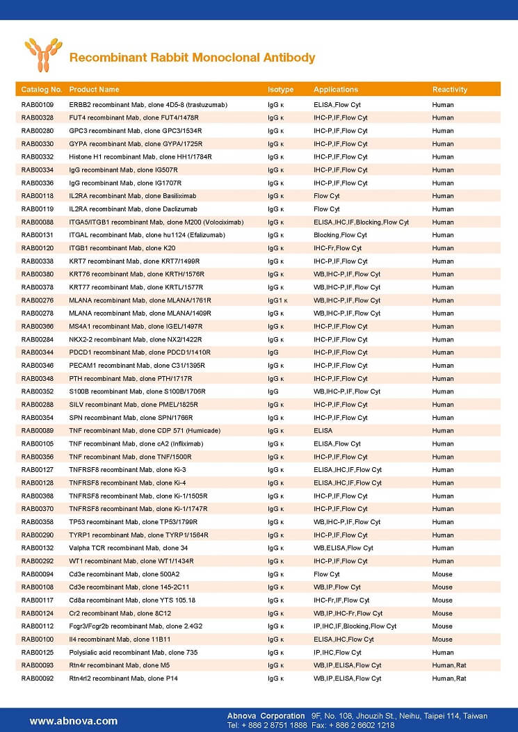 recombinant-antibody-4