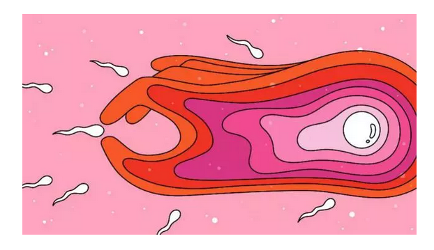 egg-select-sperm