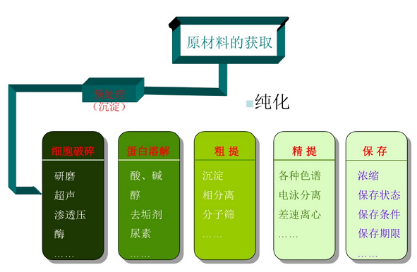 protein-purification-program