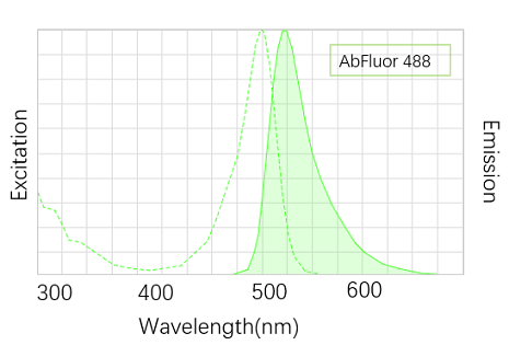 AbFluor 488卓越的荧光激发与发色光谱特性