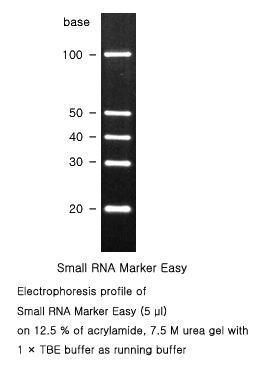 qRNA Marker 电泳结果