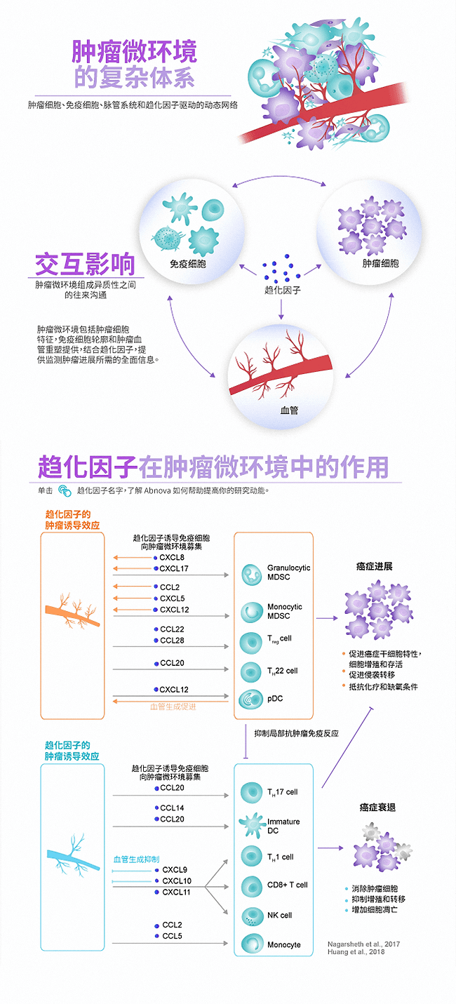 肿瘤微环境中的复杂体系