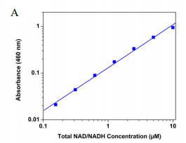 NAD/NADH 比率试剂盒