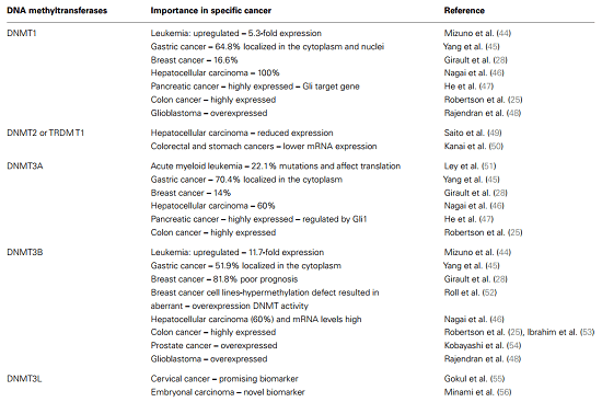 DNMTs与癌症的关联