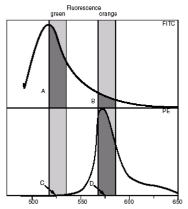 fluorescent-curve