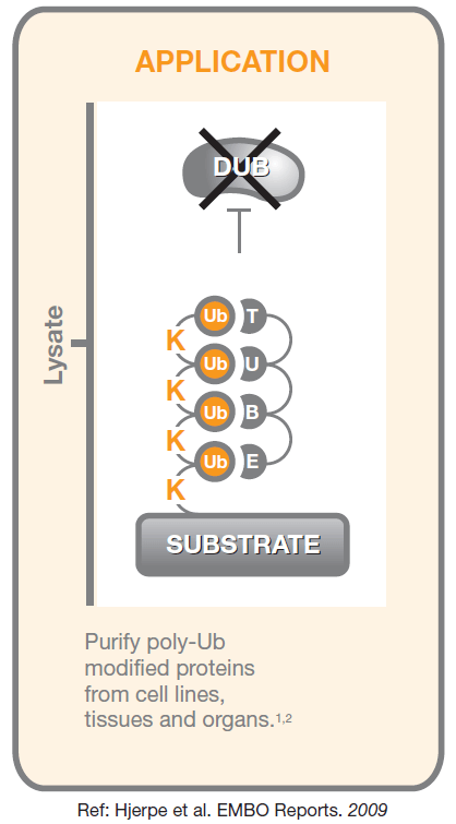 TUBEs优势